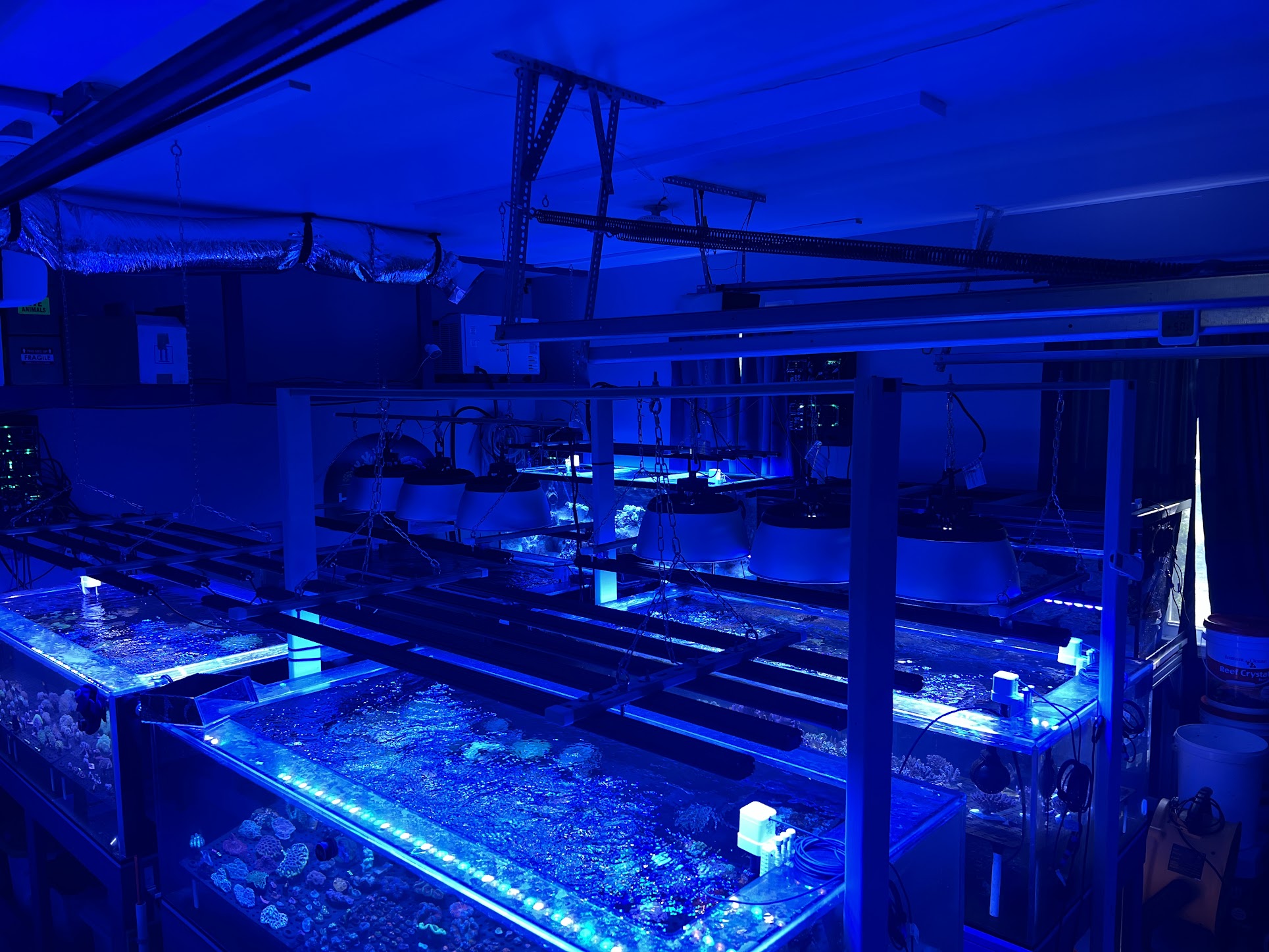 Coral grow-out system at Hideaway Reef